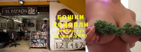 прущий лед Горняк