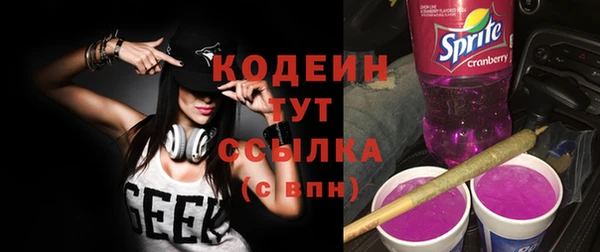 сатива Вязьма