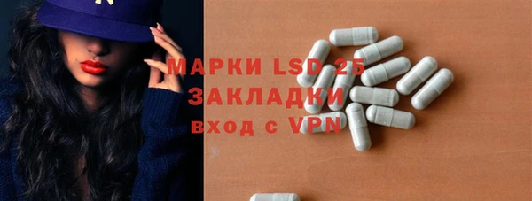 прущие грибы Вяземский
