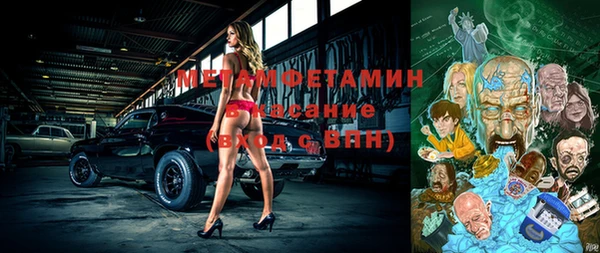 прущие грибы Вяземский