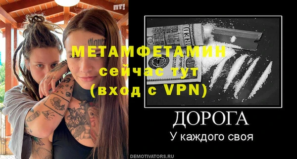 прущие грибы Вяземский