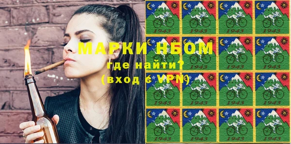 прущие грибы Вяземский