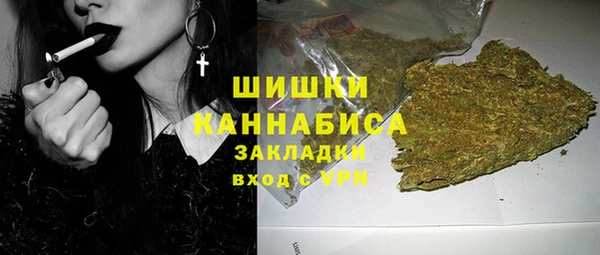 прущие грибы Вяземский