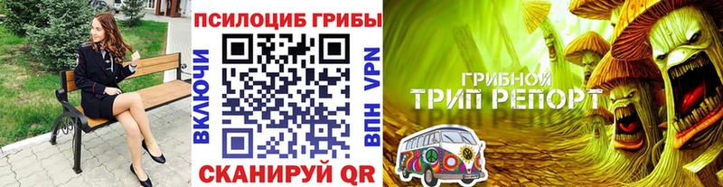 Галлюциногенные грибы Psilocybine cubensis  Ивдель 